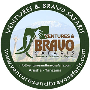 venture & Bravo safari